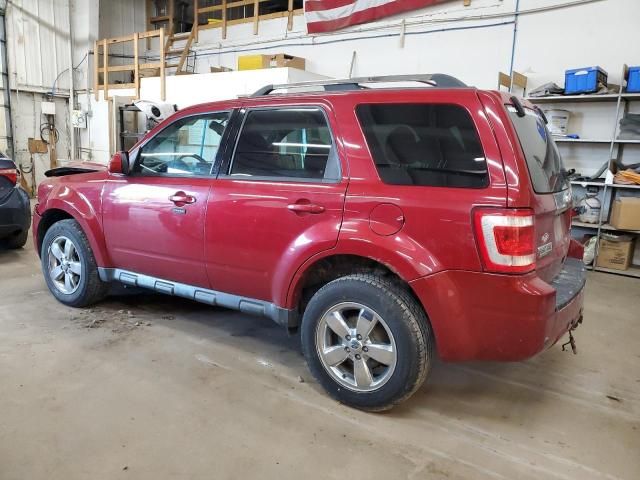 2010 Ford Escape Limited