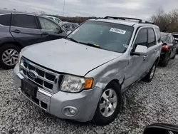 Ford Vehiculos salvage en venta: 2009 Ford Escape Limited