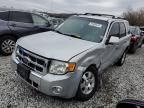 2009 Ford Escape Limited