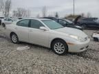 2004 Lexus ES 330