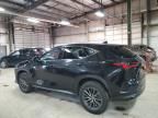 2023 Lexus NX 350