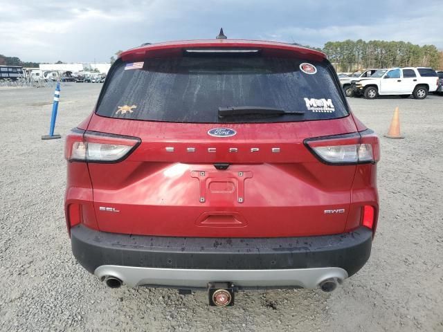 2022 Ford Escape SEL