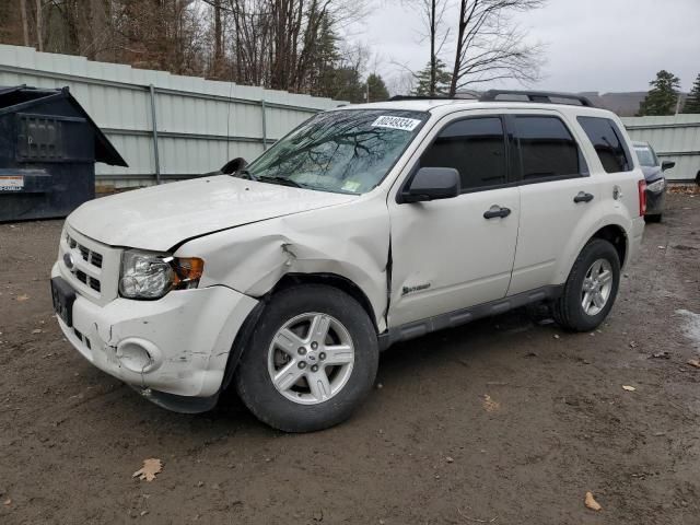 2009 Ford Escape Hybrid