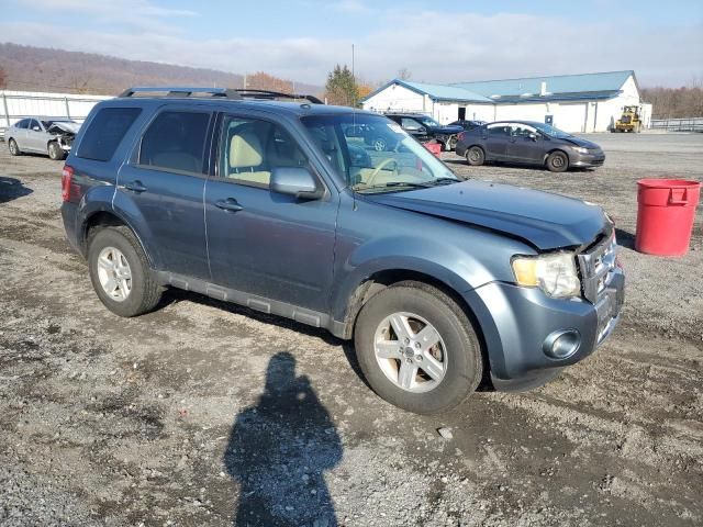 2010 Ford Escape Limited