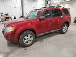 Ford salvage cars for sale: 2009 Ford Escape XLT