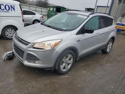 Salvage cars for sale from Copart Lebanon, TN: 2014 Ford Escape SE