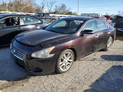 Nissan Maxima salvage cars for sale: 2010 Nissan Maxima S