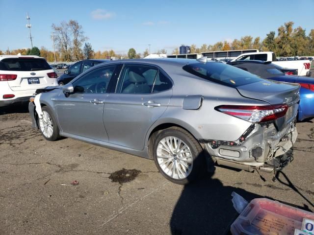 2019 Toyota Camry Hybrid