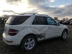 2009 Mercedes-Benz ML 350