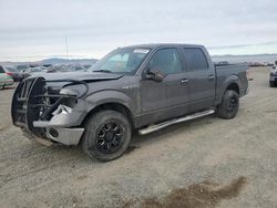 Salvage cars for sale at Helena, MT auction: 2013 Ford F150 Supercrew