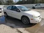 2005 Dodge Neon SXT