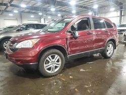 Salvage cars for sale at Ham Lake, MN auction: 2010 Honda CR-V EX