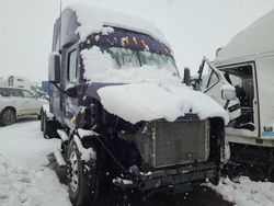 Salvage trucks for sale at Brighton, CO auction: 2013 Freightliner Cascadia 113