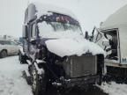 2013 Freightliner Cascadia 113