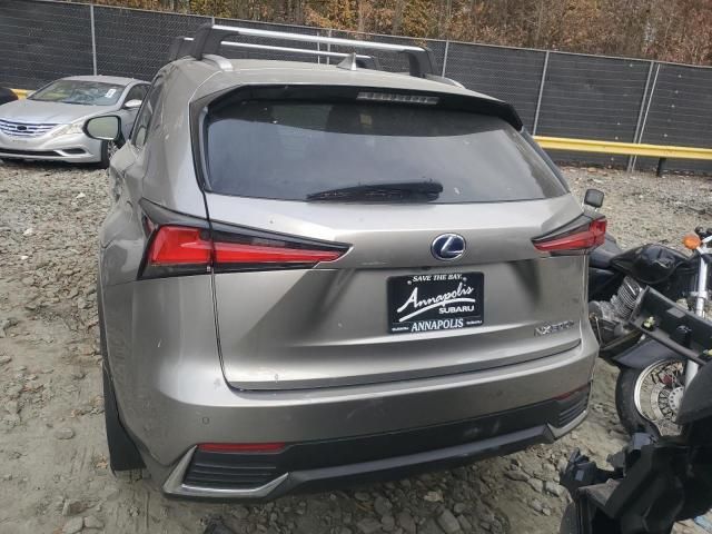 2021 Lexus NX 300H Base