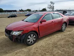 Toyota salvage cars for sale: 2008 Toyota Camry CE