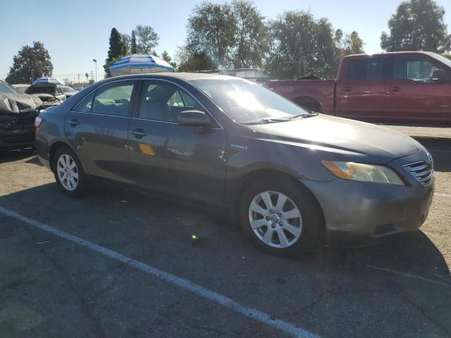 2009 Toyota Camry Hybrid