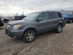 2008 Honda Pilot EXL