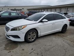 Salvage cars for sale from Copart Louisville, KY: 2016 Hyundai Sonata SE