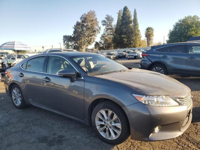 2013 Lexus ES 300H