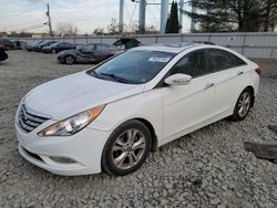 Salvage cars for sale at Windsor, NJ auction: 2013 Hyundai Sonata SE