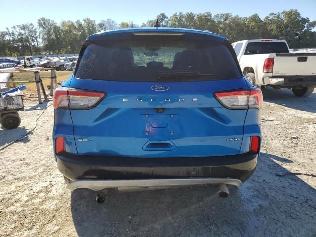 2021 Ford Escape SEL