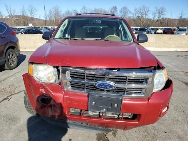 2011 Ford Escape XLT