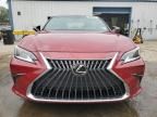 2023 Lexus ES 350 Base