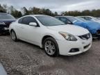 2010 Nissan Altima S