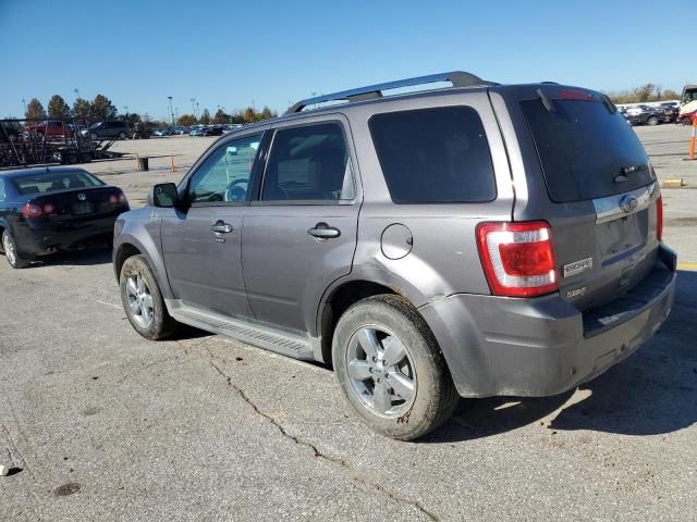 2011 Ford Escape Limited