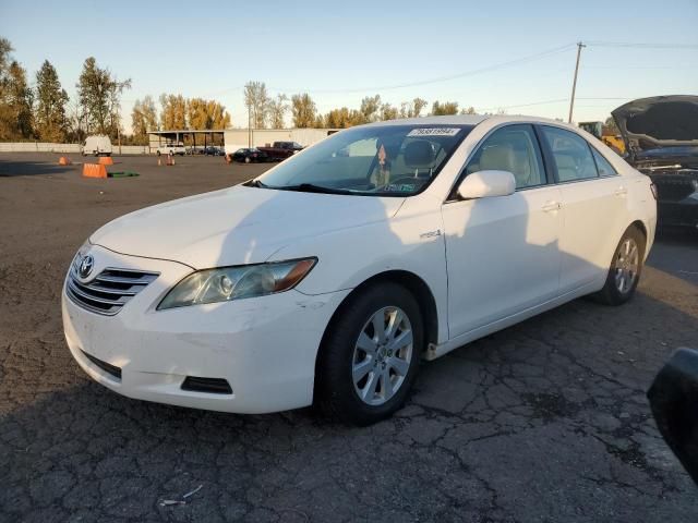 2009 Toyota Camry Hybrid