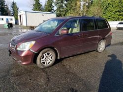 2007 Honda Odyssey EXL en venta en Arlington, WA