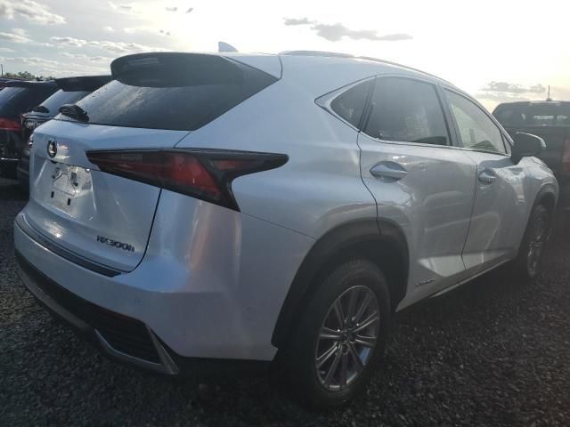 2021 Lexus NX 300H Base