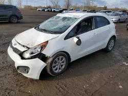 Salvage cars for sale at Montreal Est, QC auction: 2013 KIA Rio LX