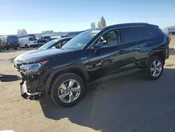 Salvage cars for sale from Copart Hayward, CA: 2021 Toyota Rav4 XLE Premium