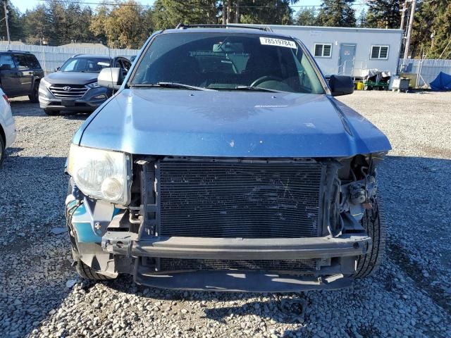 2009 Ford Escape XLT