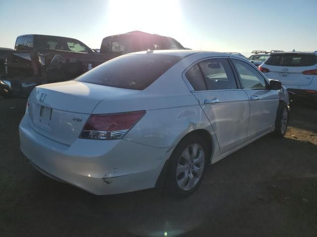 2008 Honda Accord EXL