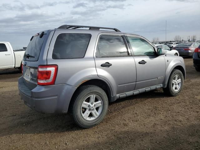 2008 Ford Escape HEV