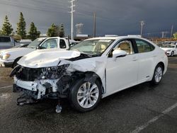 Lexus salvage cars for sale: 2013 Lexus ES 300H