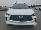 2024 Infiniti QX60 Autograph