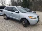 2007 Hyundai Santa FE SE