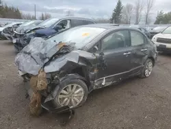 Acura csx Vehiculos salvage en venta: 2009 Acura CSX