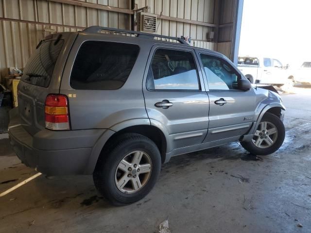 2007 Ford Escape HEV