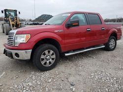 Salvage trucks for sale at Lawrenceburg, KY auction: 2012 Ford F150 Supercrew