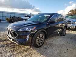 Salvage cars for sale at Arcadia, FL auction: 2022 Ford Escape SEL