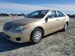 Salvage cars for sale at Antelope, CA auction: 2011 Toyota Camry Base