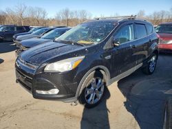 Ford Vehiculos salvage en venta: 2016 Ford Escape Titanium