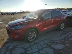 2020 Ford Escape SE en venta en Indianapolis, IN