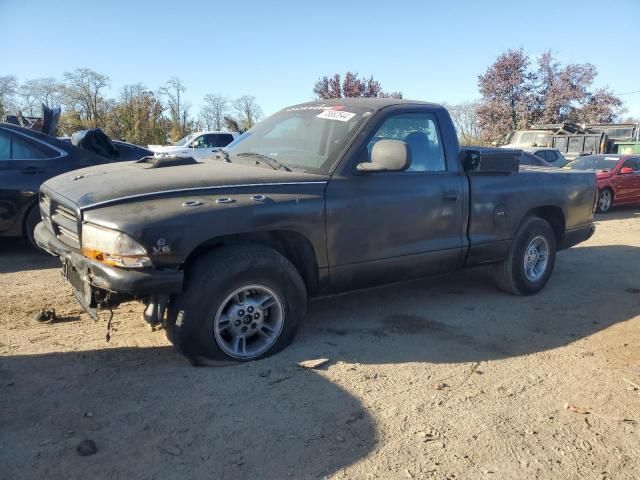 2000 Dodge Dakota