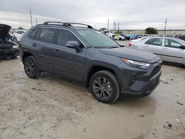 2024 Toyota Rav4 XLE Premium